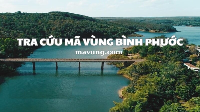 Cập nhật thông tin mã vùng Bình Phước chính xác nhất