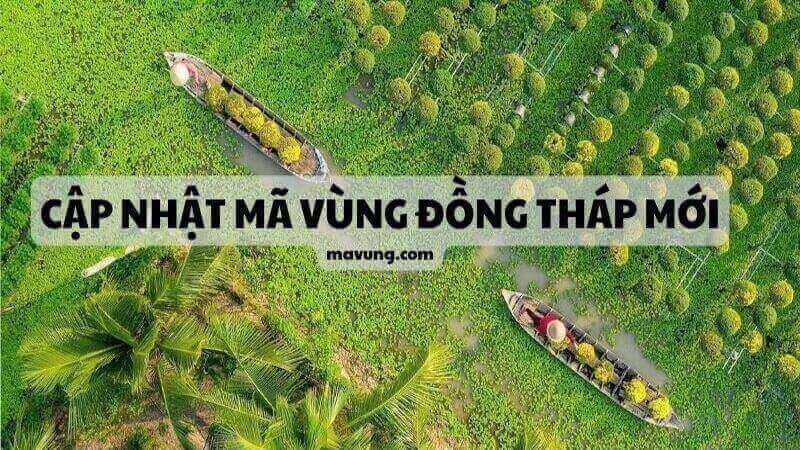 cập nhật mã vùng Đồng Tháp