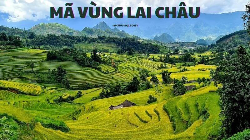 Mã vùng Lai Châu cập nhật mới nhất là bao nhiêu?