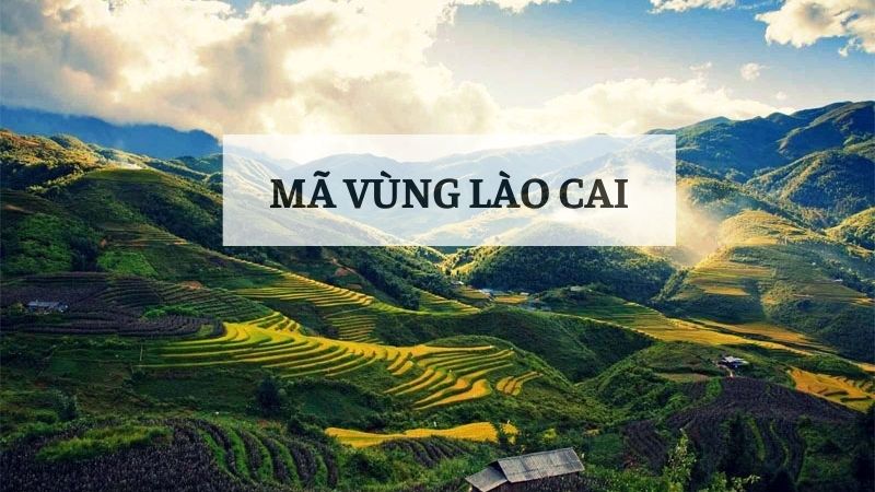 Mã vùng Lào Cai