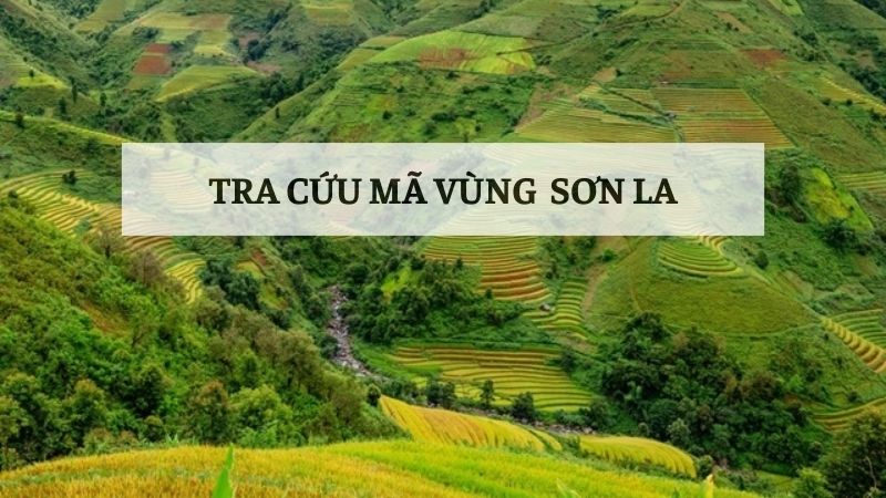 Tra cứu mã vùng Sơn La